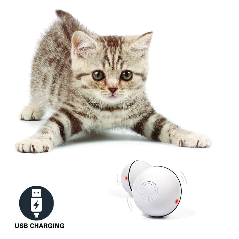 LED Laser Cat Toy Ball - Electronic Rolling Interactive Pet Toy