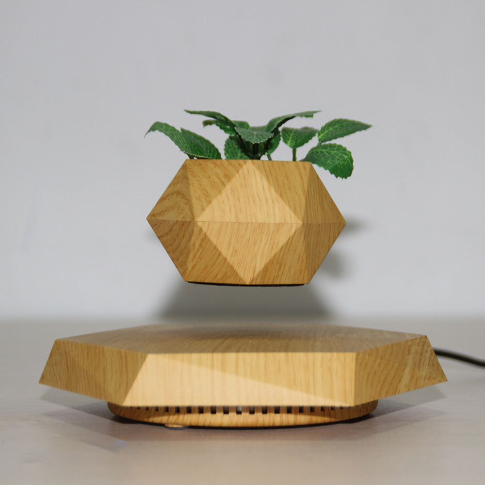 Magnetic Levitating Plant Pot - Floating Air Plant Planter for Home & Office