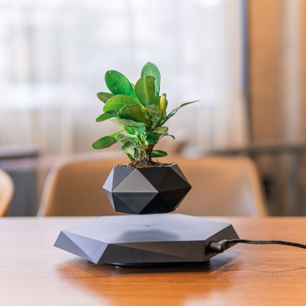 Magnetic Levitating Plant Pot - Floating Air Plant Planter for Home & Office