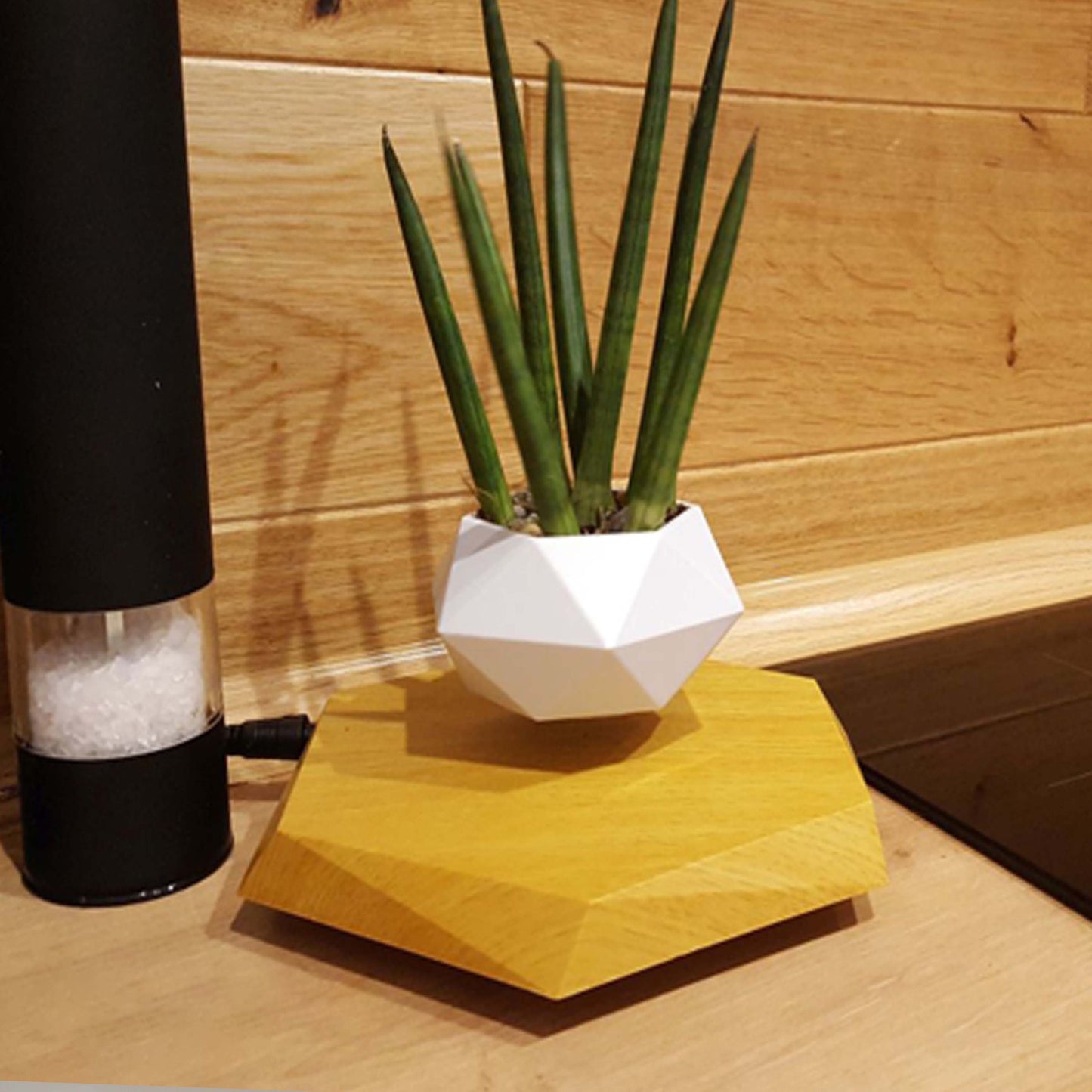 Magnetic Levitating Plant Pot - Floating Air Plant Planter for Home & Office