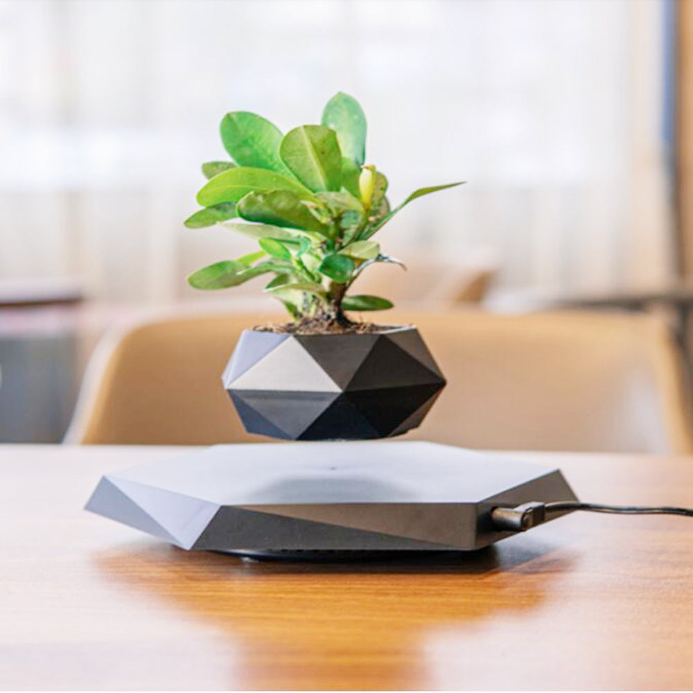 Magnetic Levitating Plant Pot - Floating Air Plant Planter for Home & Office