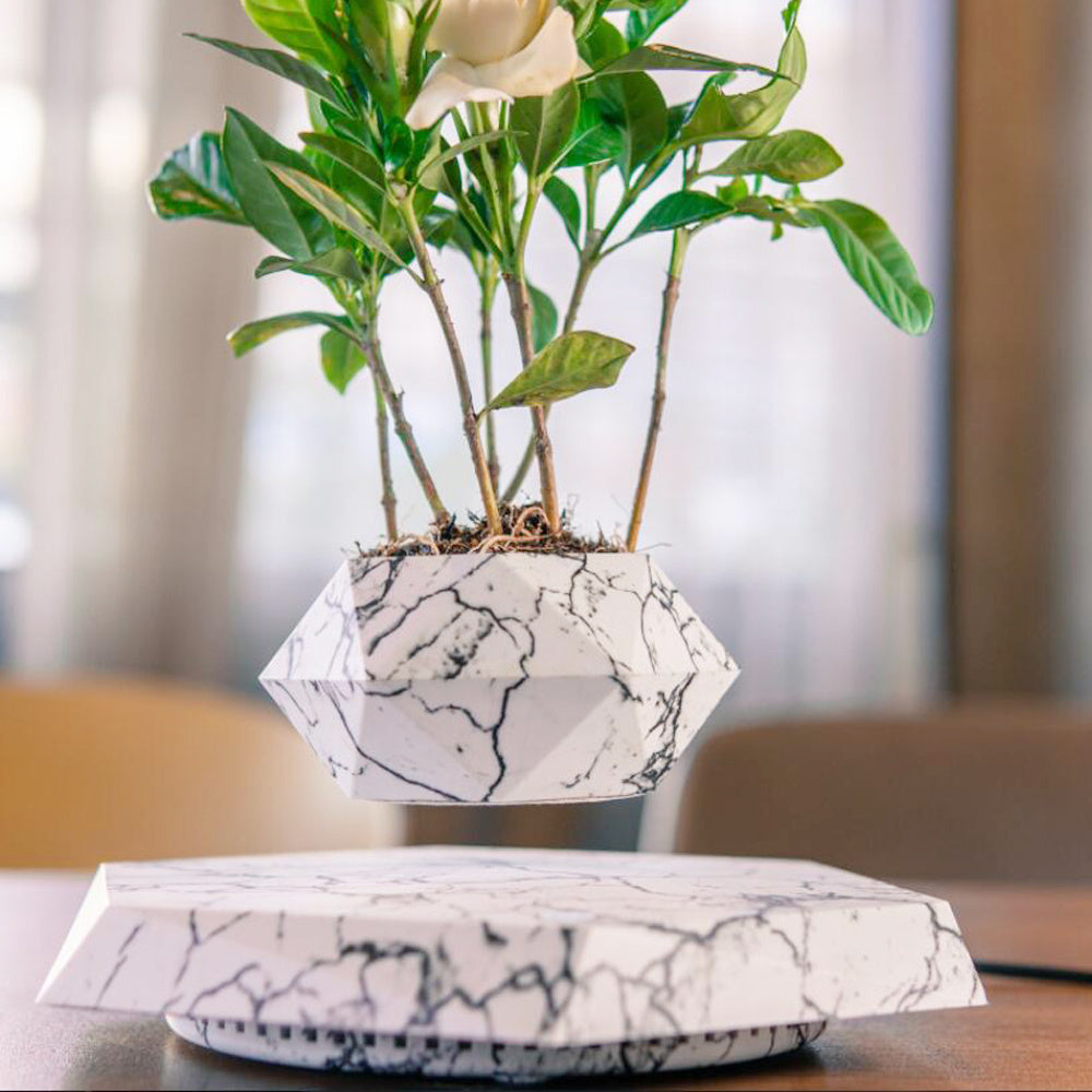 Magnetic Levitating Plant Pot - Floating Air Plant Planter for Home & Office